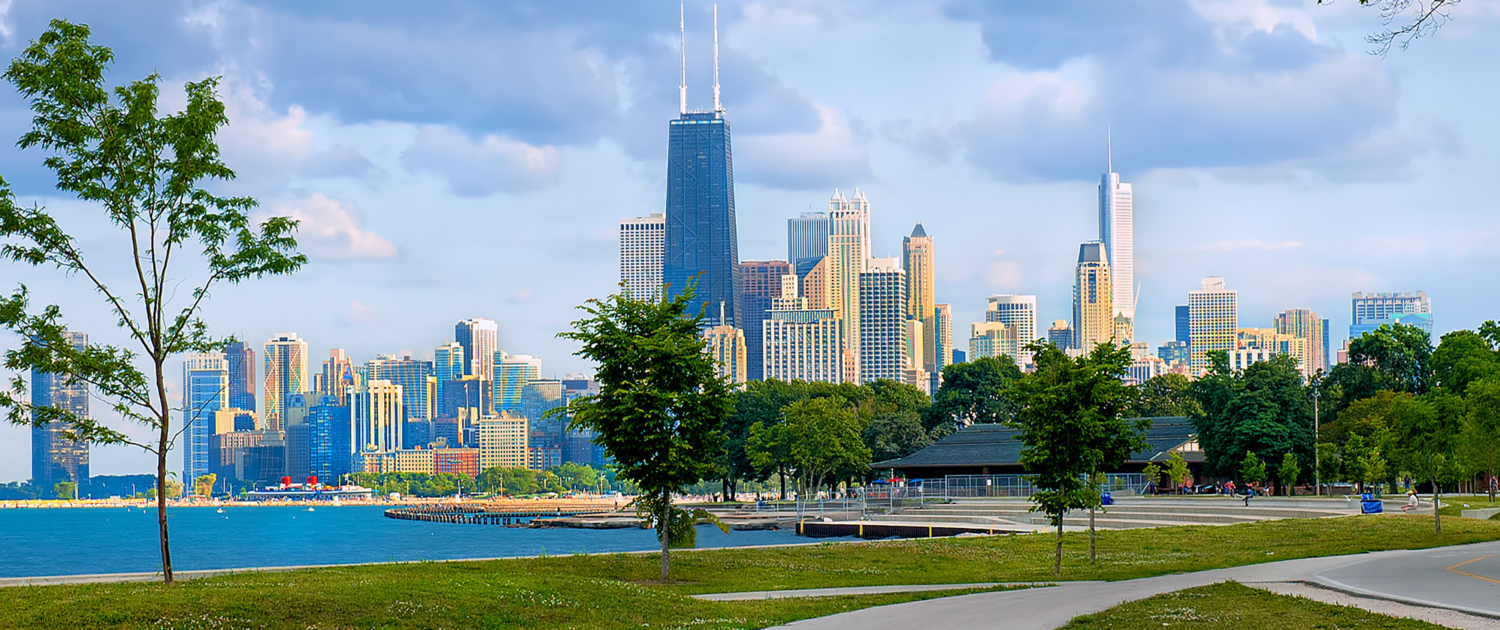 Downtown Chicago from North